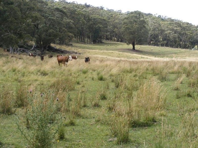 Bathurst NSW 2795