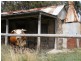Bathurst NSW 2795