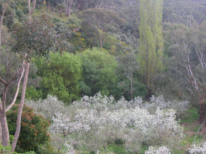 16 VAWSER COURT, Coromandel Valley SA 5051