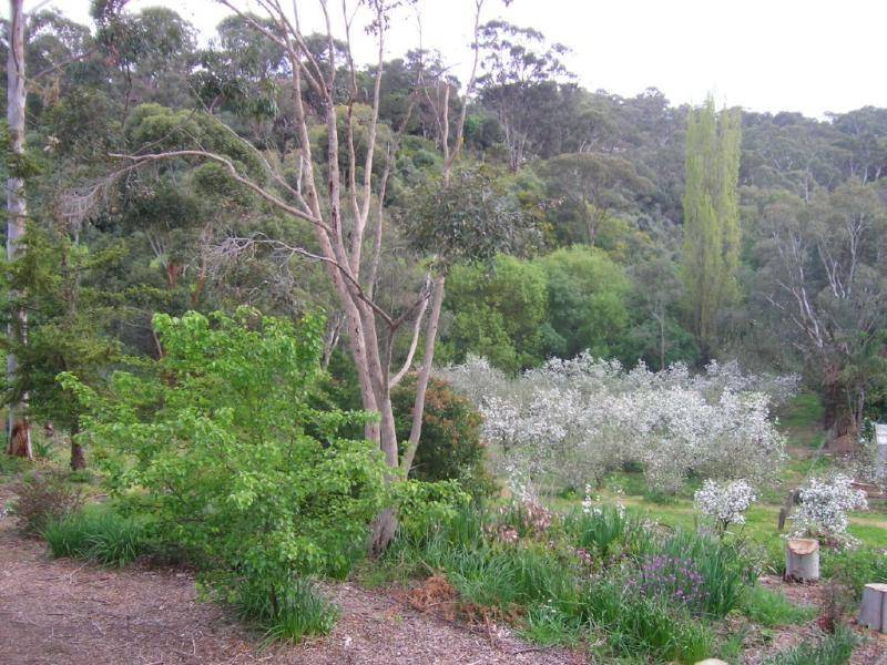 16 VAWSER COURT, Coromandel Valley SA 5051