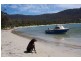Lot 8 ,9,10/290 Blowhole Road, Eaglehawk Neck TAS 7179