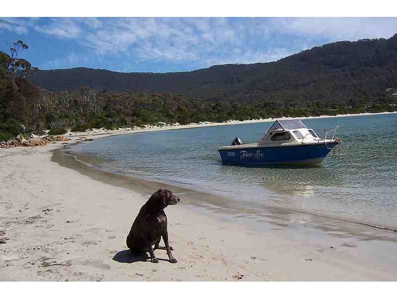Lot 8 ,9,10/290 Blowhole Road, Eaglehawk Neck TAS 7179