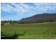 Lot 8 ,9,10/290 Blowhole Road, Eaglehawk Neck TAS 7179
