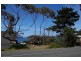 Lot 8 ,9,10/290 Blowhole Road, Eaglehawk Neck TAS 7179