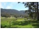 Lot 8 ,9,10/290 Blowhole Road, Eaglehawk Neck TAS 7179