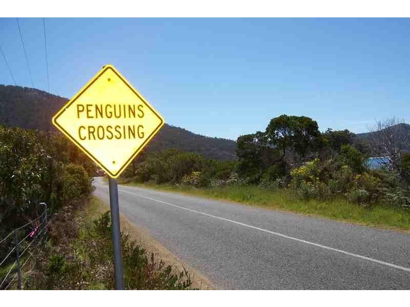 Lot 8 ,9,10/290 Blowhole Road, Eaglehawk Neck TAS 7179