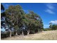 180 Blowhole Road, Eaglehawk Neck TAS 7179