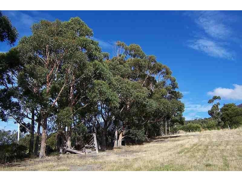 180 Blowhole Road, Eaglehawk Neck TAS 7179