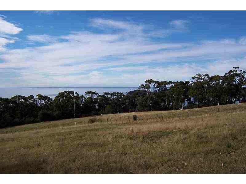 180 Blowhole Road, Eaglehawk Neck TAS 7179