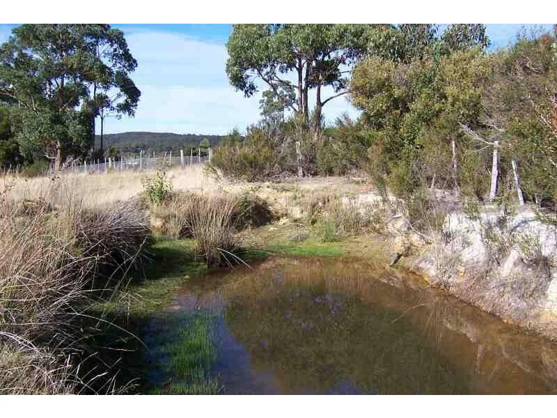 180 Blowhole Road, Eaglehawk Neck TAS 7179