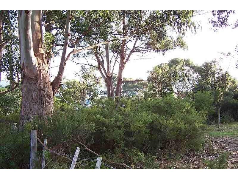 15 Tasmans Arch Road, Eaglehawk Neck TAS 7179