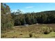 229 Radnor Road, Port Arthur TAS 7182