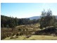 229 Radnor Road, Port Arthur TAS 7182