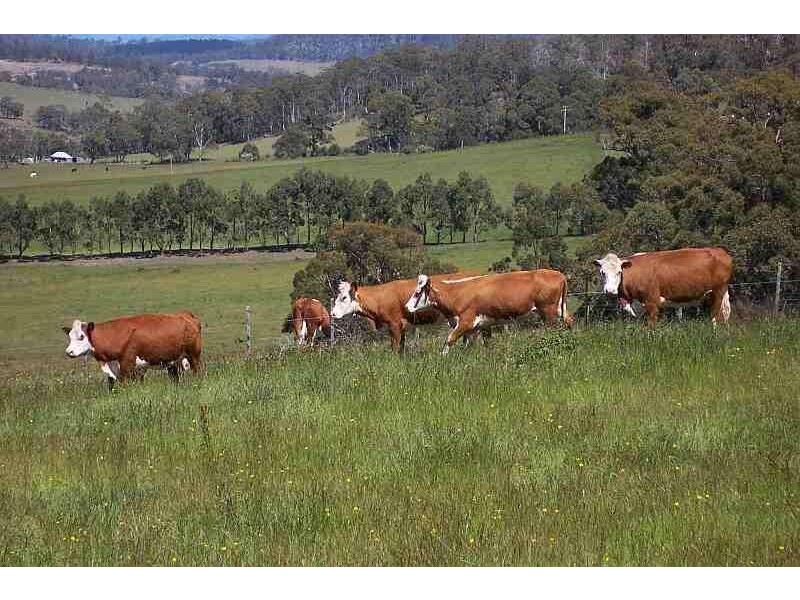 70 Browns Road, Copping TAS 7174