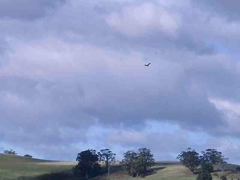 70 Browns Road, Copping TAS 7174