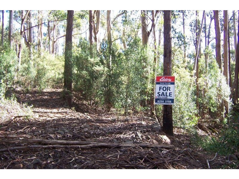 Lot 4/100 Radnor Road, Port Arthur TAS 7182