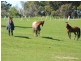 715 Saltwater River Road, Saltwater River TAS 7186