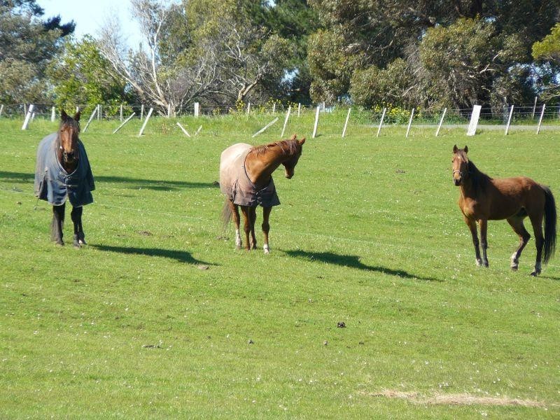 715 Saltwater River Road, Saltwater River TAS 7186