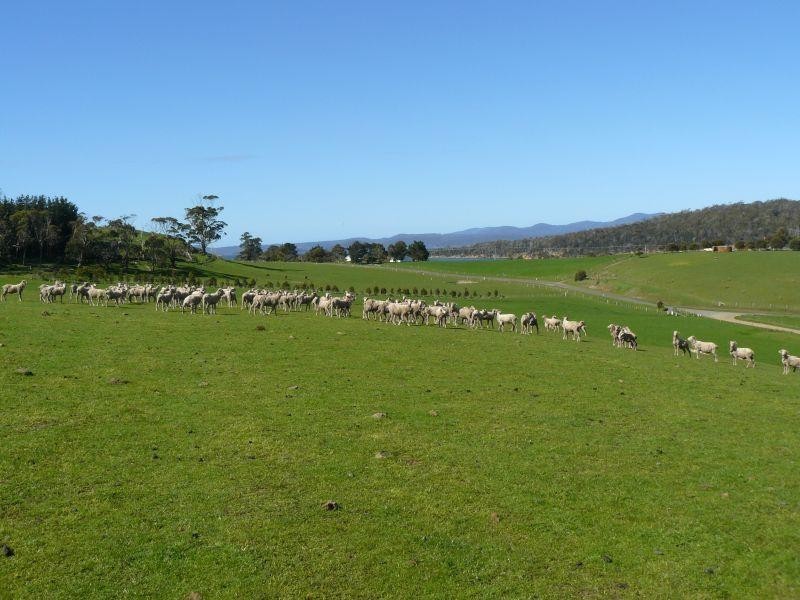 715 Saltwater River Road, Saltwater River TAS 7186