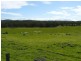 715 Saltwater River Road, Saltwater River TAS 7186