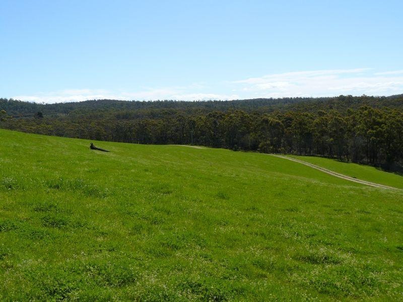 144 Hurdle Road, Saltwater River TAS 7186