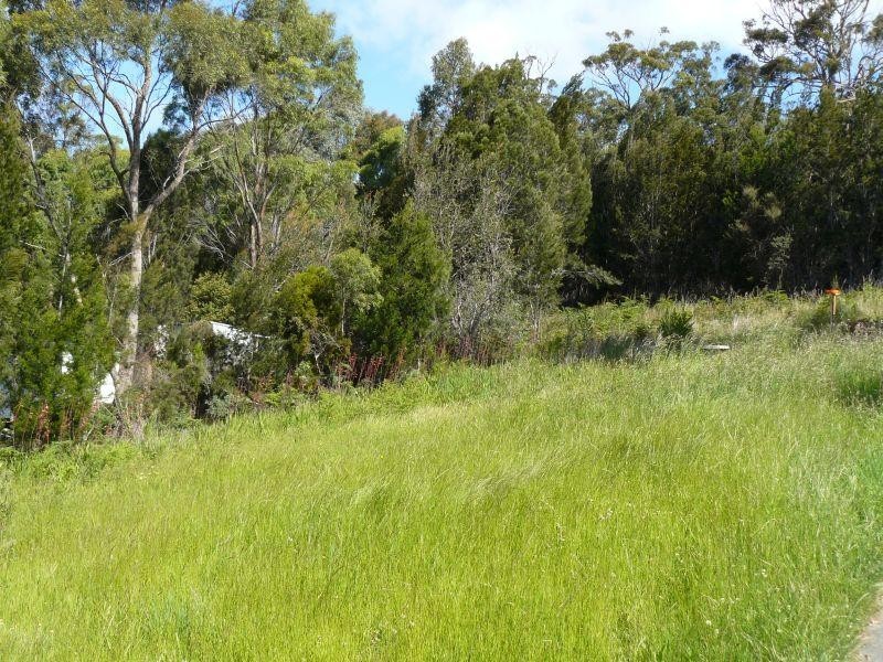 Lot 2/41 Mason Point Road, Eaglehawk Neck TAS 7179