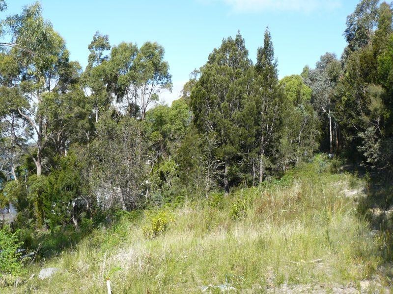 Lot 2/41 Mason Point Road, Eaglehawk Neck TAS 7179
