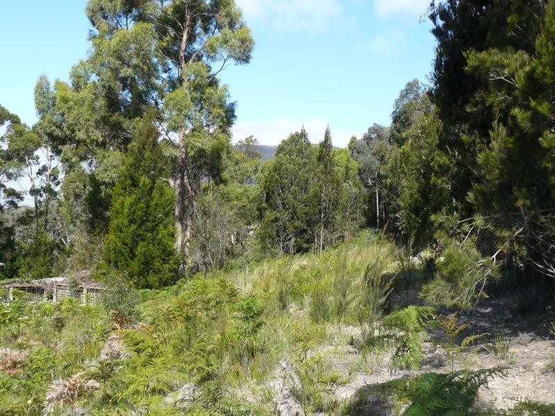 Lot 2/41 Mason Point Road, Eaglehawk Neck TAS 7179