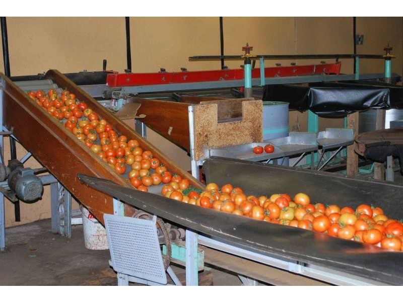 305 Lyell Highway, Granton TAS 7030