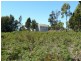 Lot 7/ Black Jack Road, Sloping Main TAS 7186