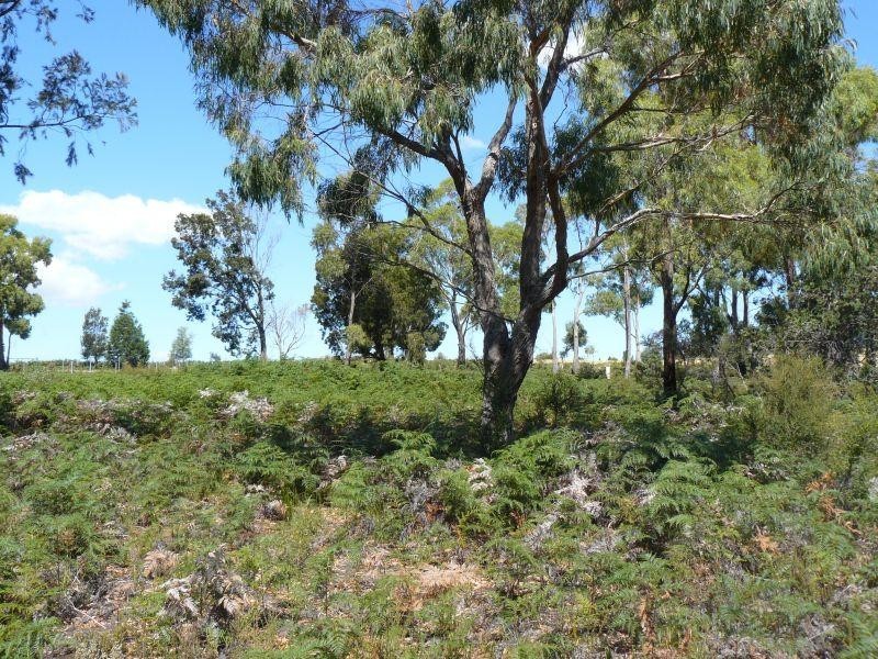 Lot 7/ Black Jack Road, Sloping Main TAS 7186