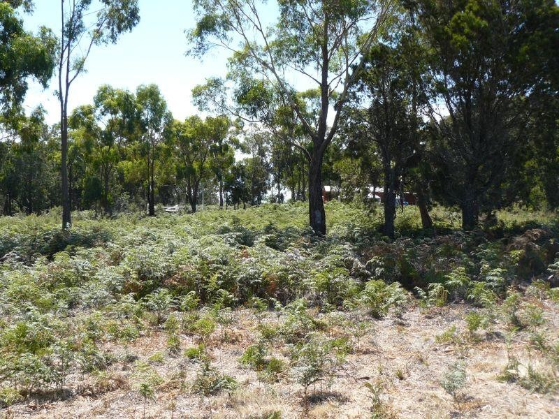 Lot 7/ Black Jack Road, Sloping Main TAS 7186