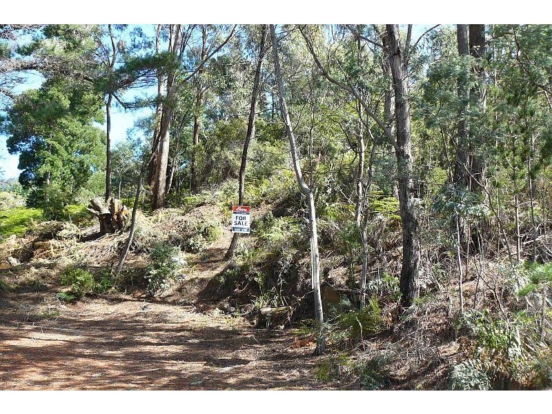 68 Old Jetty Road, Eaglehawk Neck TAS 7179