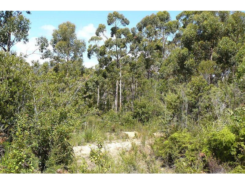 Lot 2/192 Old Jetty Road, Eaglehawk Neck TAS 7179