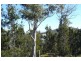 Lot 2/ Reef View Road, Murdunna TAS 7178