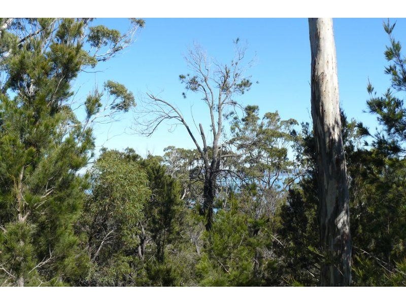 Lot 2/ Reef View Road, Murdunna TAS 7178
