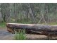 6 Hawker Street, Murdunna TAS 7178
