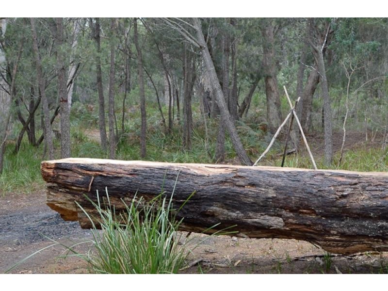 6 Hawker Street, Murdunna TAS 7178