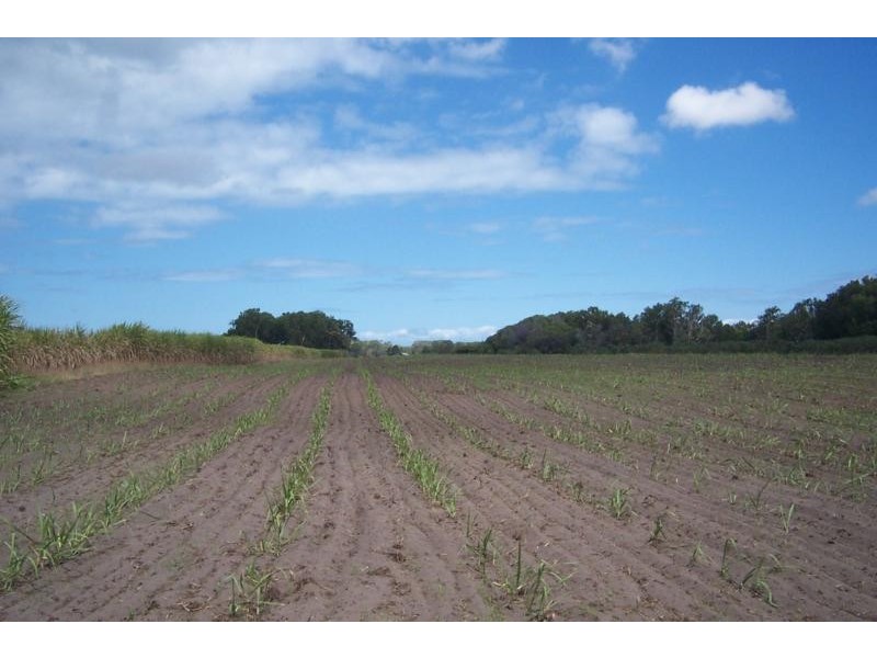 2 Taylors Beach Road, Halifax QLD 4850