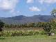 Mutarnee QLD 4816