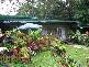 Paluma QLD 4816