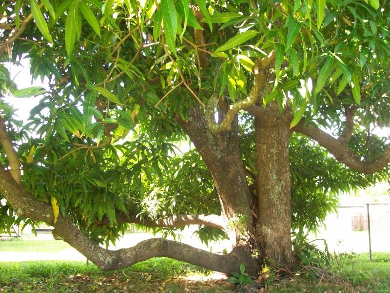 153 KINGS ROAD,, Pimlico QLD 4812