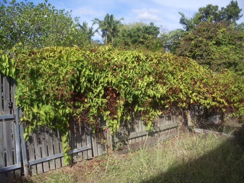 18A SIXTH AVENUE, South Townsville QLD 4810