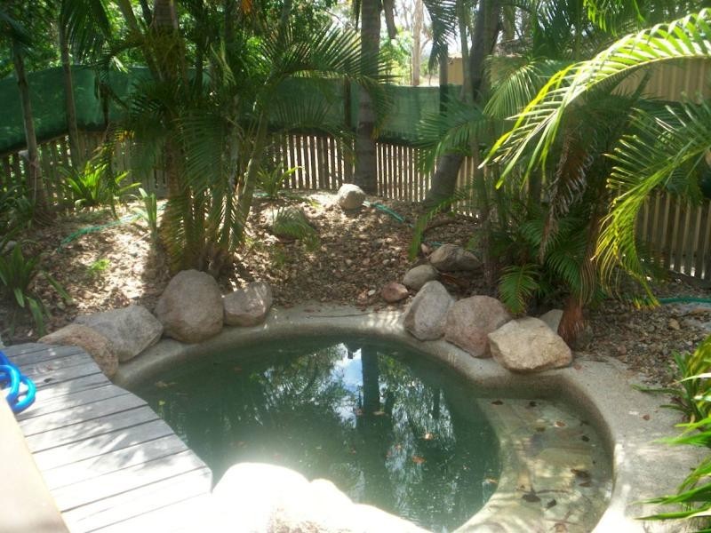 6 Coachwood Court, Nome QLD 4816