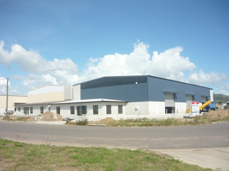 60-64 Crocodile Crescent, Mount St John QLD 4818