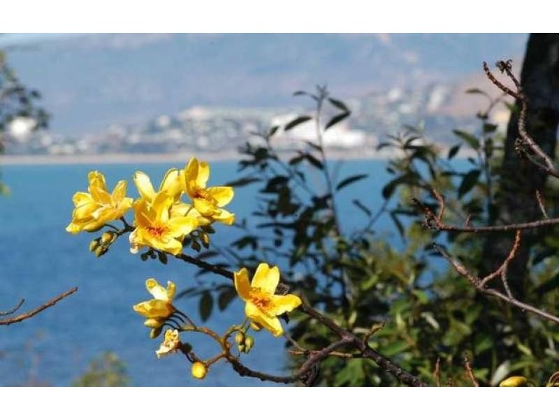 Lot 16 Nobby Headland, Magnetic Island QLD 4819