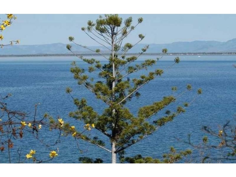 Lot 16 Nobby Headland, Magnetic Island QLD 4819