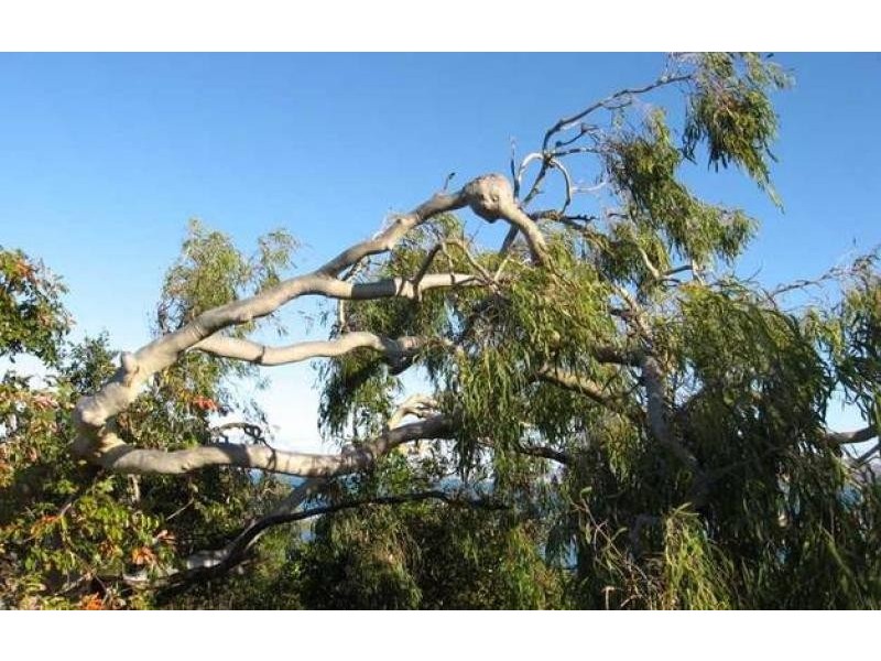 Lot 17 ‘ Nobby Headland’, Magnetic Island QLD 4819