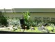 14 Townsville Street, West End QLD 4810