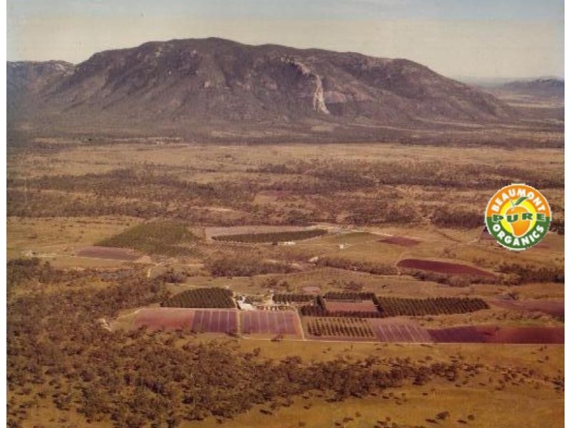 3113 Collinsville road, Bowen QLD 4805